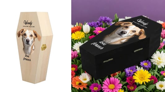 The Importance of Pet Cremation Keepsakes