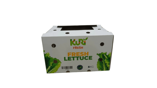 Factory Customized Logo Cardboard Beverage Packaging Transport Boxes: Enhancing Brand Visibility and Product Safety