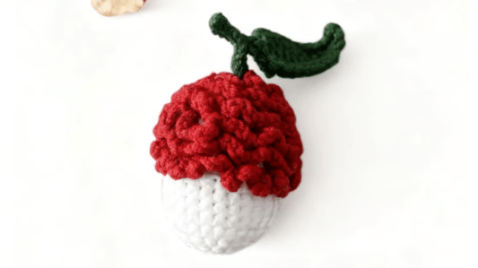 The Allure and Creation of Mini Lychee Crochet Plush: A Detailed Exploration