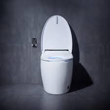 The Advantages of a Self-cleaning Toilet System