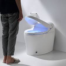 Is A Smart Toilet Worth It? Exploring the Pros and Cons of This High-Tech Fixture