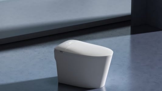 The Future of Toilets: The Benefits of a Smart Toilet Black