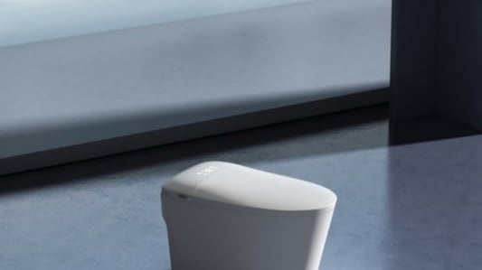 Wall Mounted Smart Toilet: The Pros and Cons of This Modern Bathroom Fixture