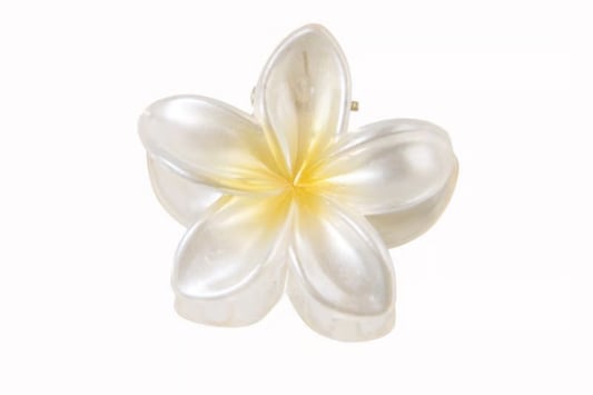 The Holo Effect Shiny Plastic Flower Hair Clip: A Must-Have Accessory