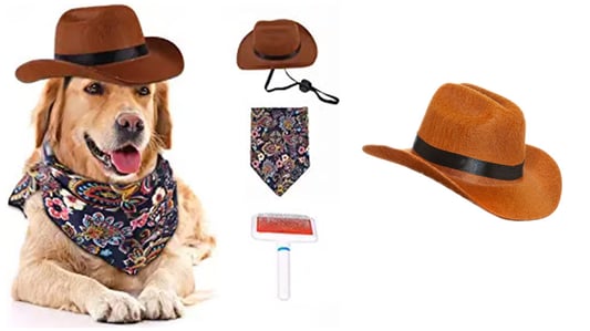 Why Natural Wheat Straw Hats are the Best Lightweight Option for Pets