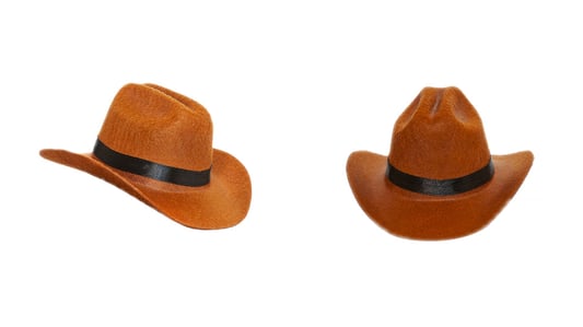 The Functionality of Pet Sombrero Sun Protection: A Comprehensive Guide