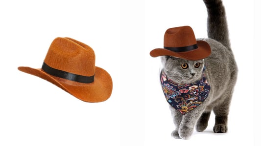 Straw Hat Sizing Chart for Different Breeds