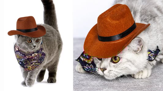 The Importance of Pet Hat Material Safety: Non-Toxic Options