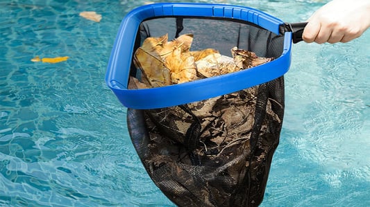 The Benefits of Using a Skimmer Net for Your Swimming Pool