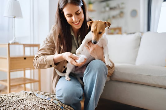 The Benefits of Using Cleansing Wipes for Dogs