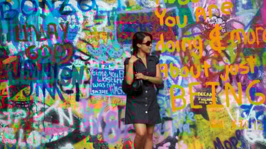 What is a Shift Dress for Women?