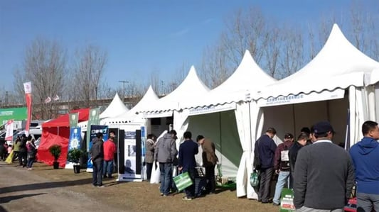 How to Take Down a Pop Up Canopy: A Step-by-Step Guide