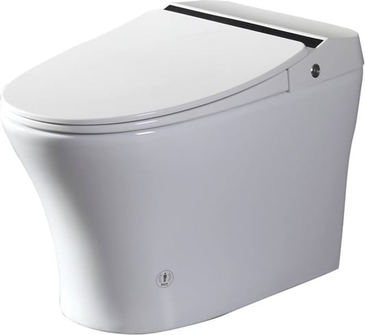 Explore the Benefits of the Smart Toilet with ETL Certification—YC368G/GE