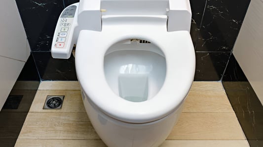 How to Flush an Intelligent Toilet: A Comprehensive Guide