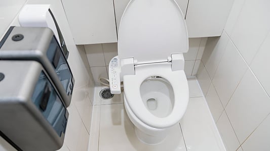 What Are the Disadvantages of Smart Toilets?