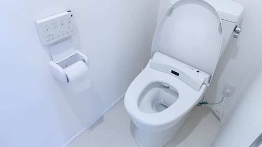 How Does a Toilet Seat Warmer Work?