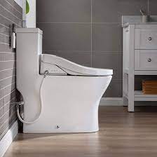 What Does a Bidet Toilet Seat Do?