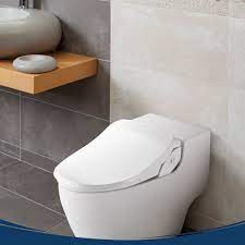 What is the Downside of a Bidet Toilet?