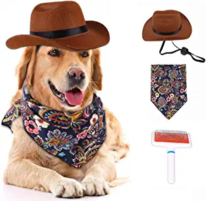 Pup Caps: The Stylish and Functional Choice for Your Dog