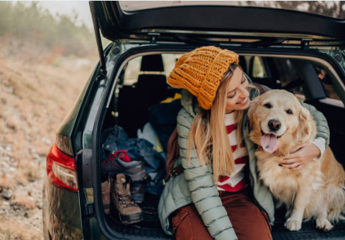 Pup Caps: The Stylish and Functional Choice for Your Dog