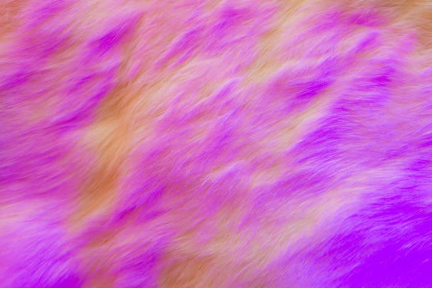 What is the Difference Between Faux Fur and Fake Fur?