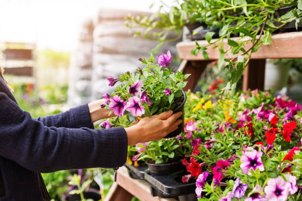 10 Prospects of Outdoor Balcony Hanging Flower Pot: A Comprehensive Guide