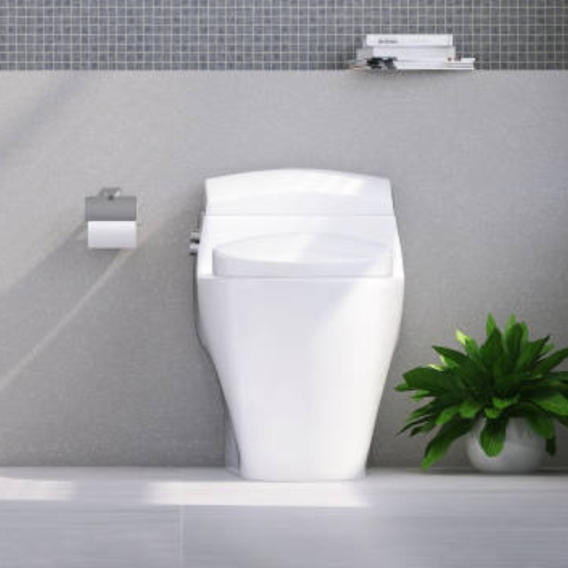 The Benefits of a Modern One Piece Toilet: A Comprehensive Guide