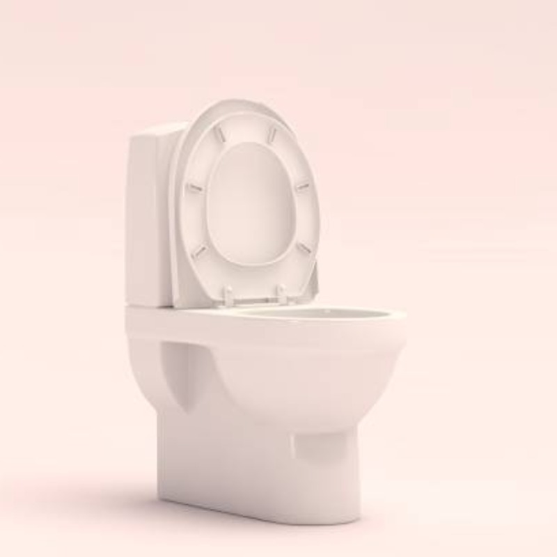 The Advantages of Choosing a One Piece Round Toilet