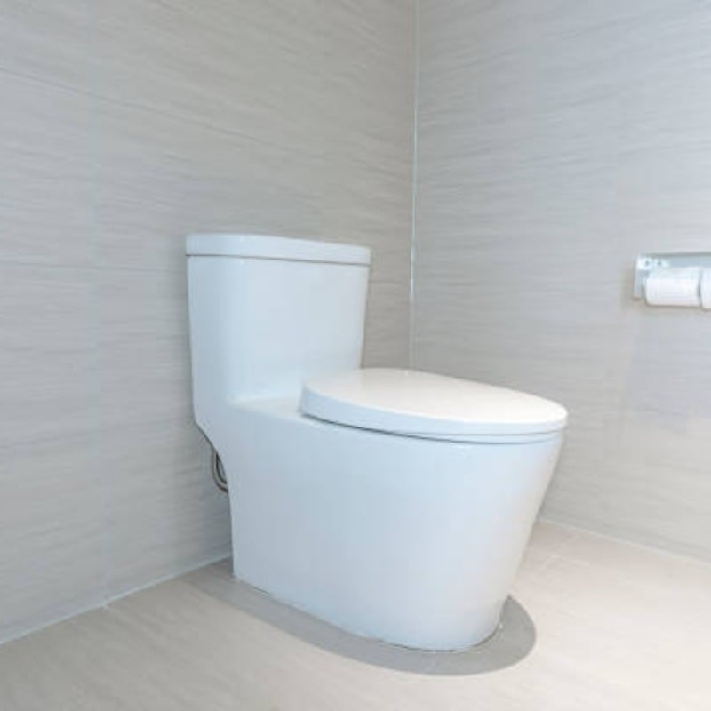 The Advantages of Installing an In-Wall Tank Toilet in Your Bathroom