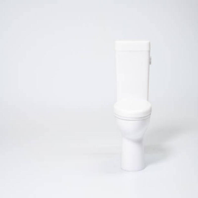 Everything You Need to Know About One Piece Toilet Replacement Parts