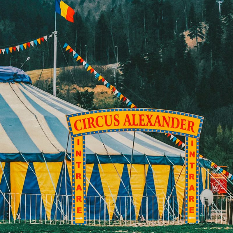 Circus Tent for Sale: The Ultimate Guide to Purchasing Your Perfect Big Top