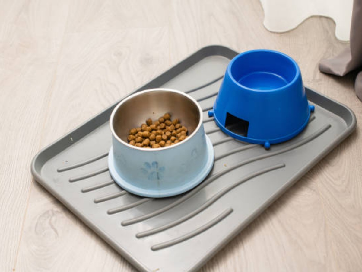 The Benefits of Using a Dog Bowl Silicone Mat for Your Pet