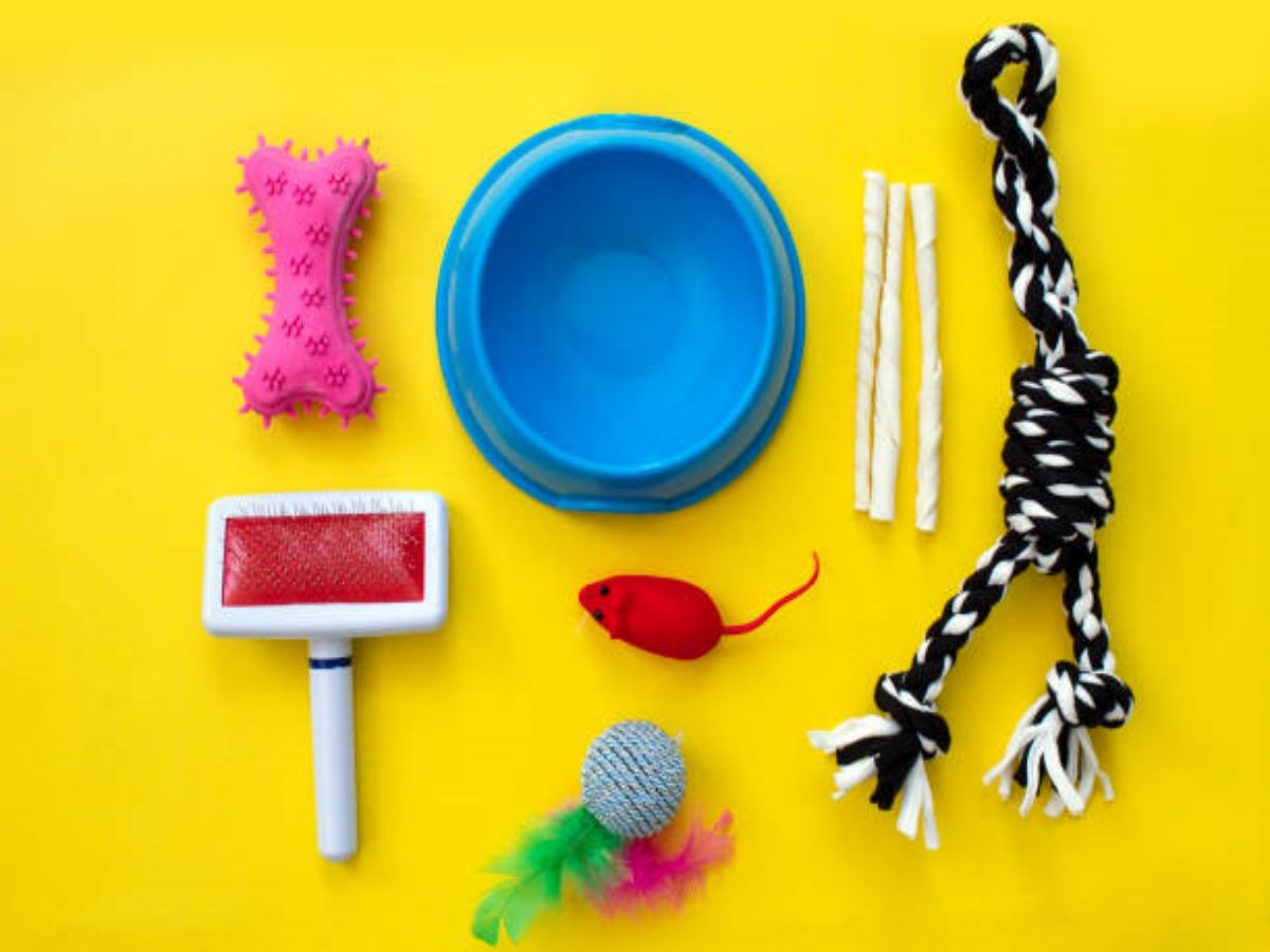 The Pros and Cons of Offering Silicone Pet Products to Business Customers