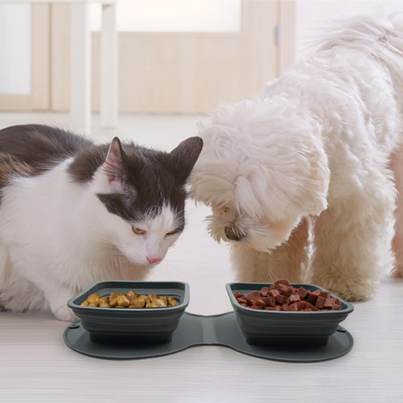 Food Grade Silicone Collapsible Slow Feeder Dog Bowls For Traveling, Walking Outdoors, Camping