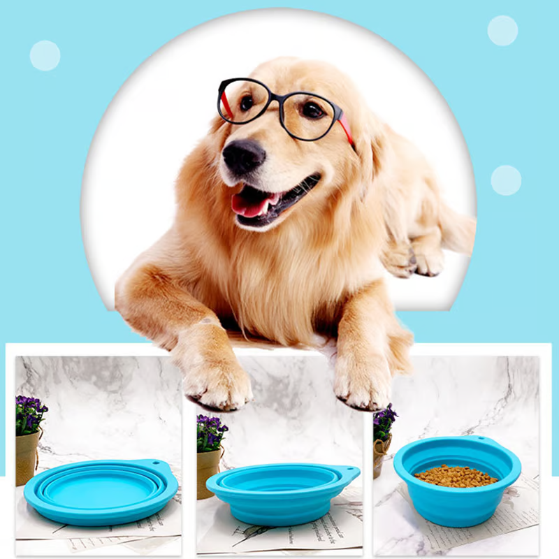The Benefits of Using Silicone Collapsible Pet Bowls for Food and Water Feeding