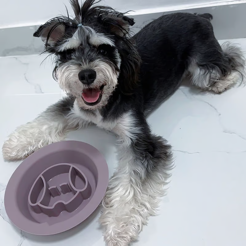How Soft Food & Supports Oral Health Silicone Dog Lick Bowl Interactive Silicone Slow Feeder Puzzle Helps Your Dog