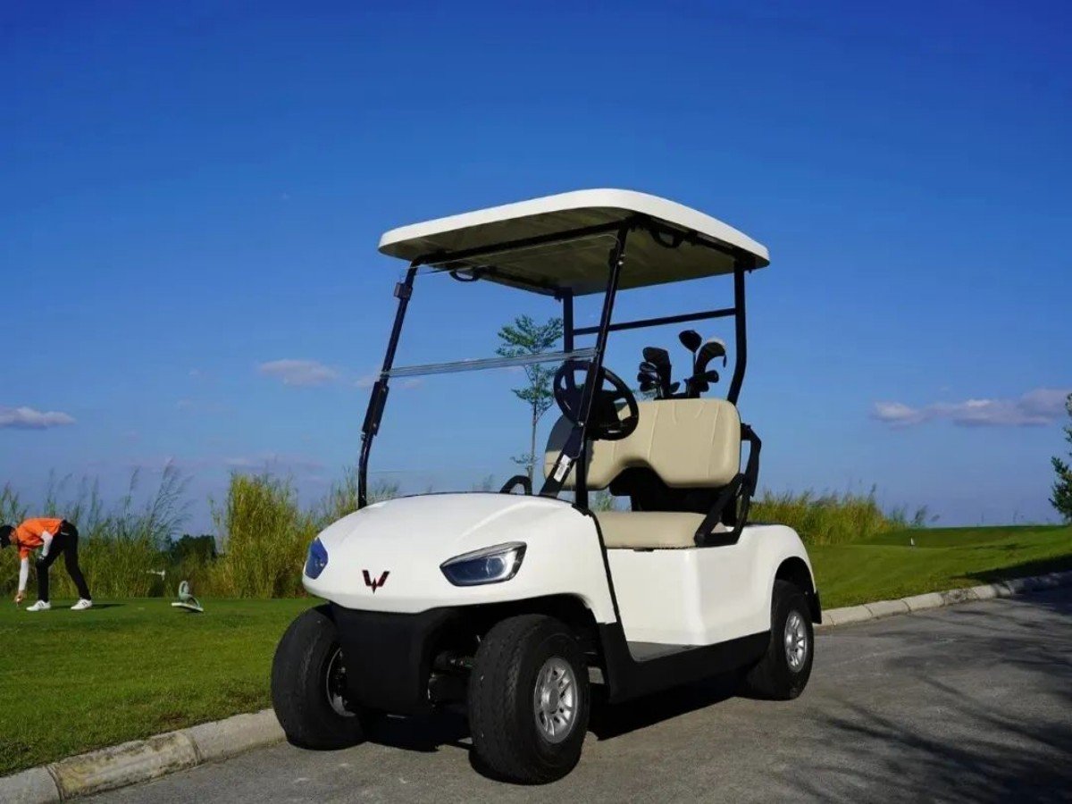 Everything You Need to Know About 12V Golf Cart Batteries