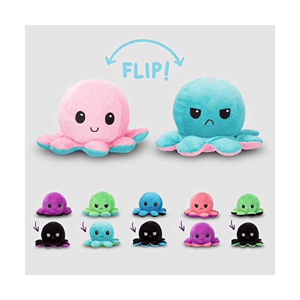 bicolor reversible bipolar teeturtle