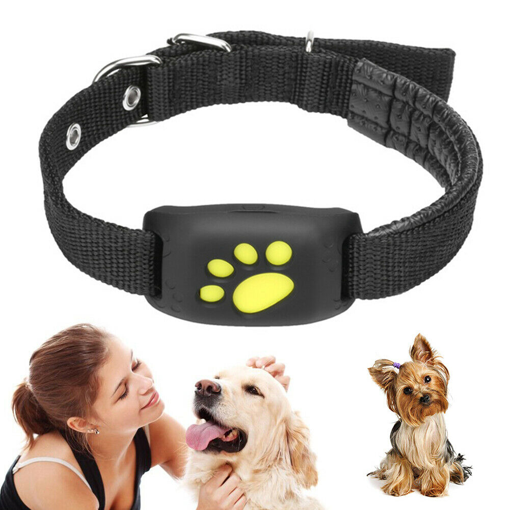 Image 11 - Anti-lost Mini Pet Dog Cat GPS Tracker Collar Real Time 2G Locator Tracking Lot