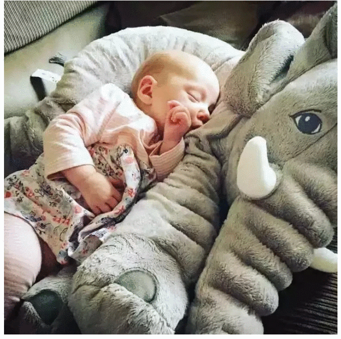 Image result for BABY ELEPHANT PILLOWâ„¢ gif