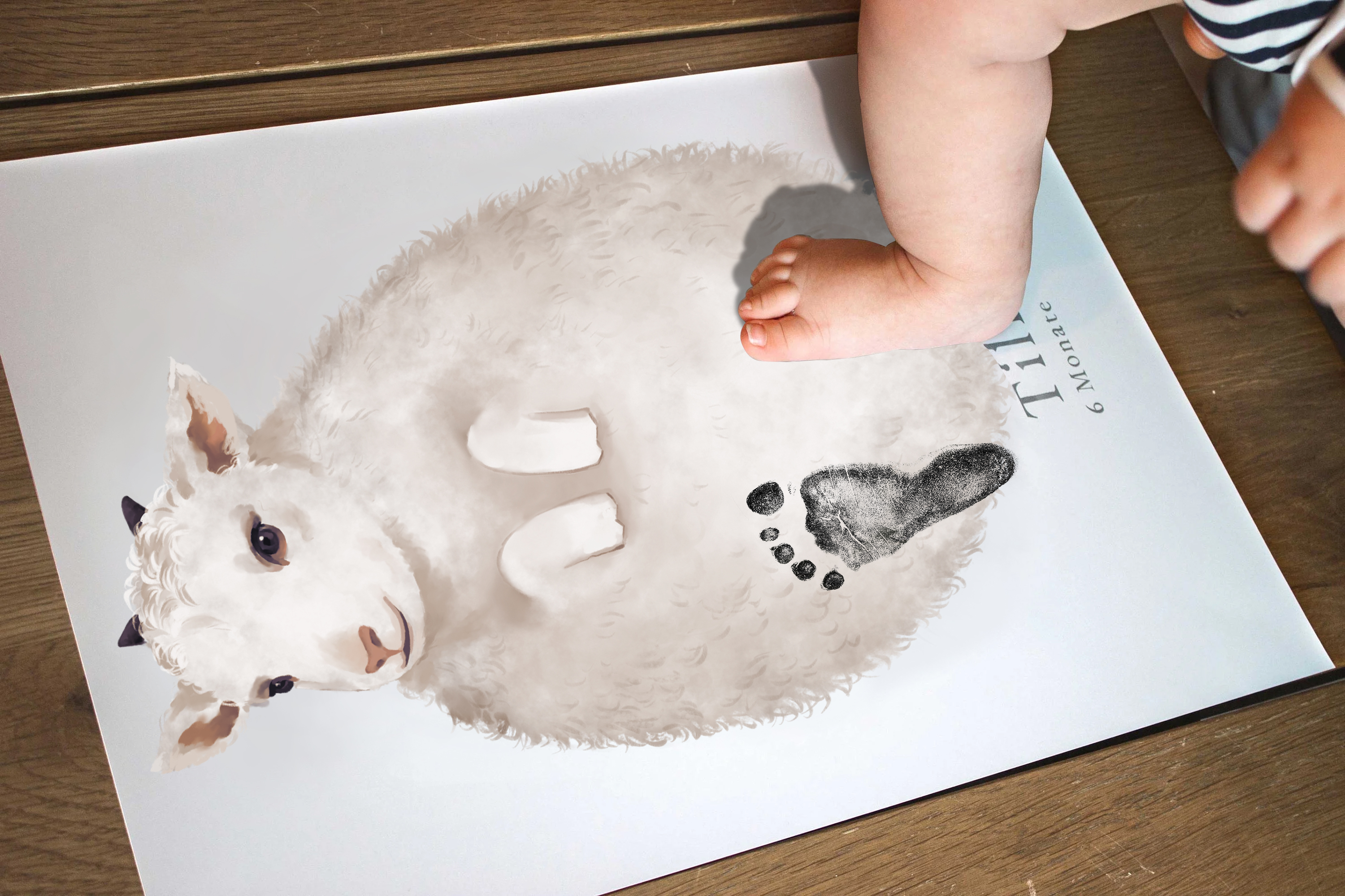 Cute Sheep, Baby Gift and Pets Gift Personalized,, Footprint Set, Mural Baby & Children's Room Animals, Sheep Gift🐾-babyanimal