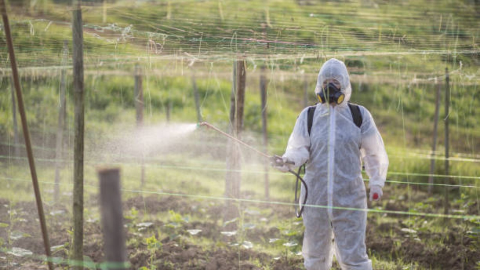 The Benefits of Using Ground Sterilizer Spray for Weed Control
