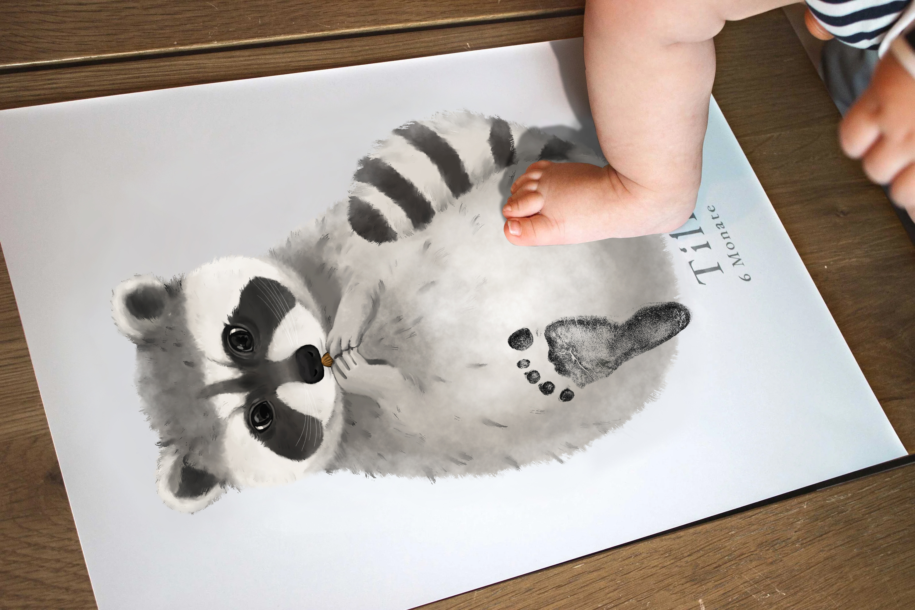 Raccoon, Baby Gift and Pets Gift Personalized,, Footprint Set, Mural Baby & Children's Room Animals, Raccoon-babyanimal