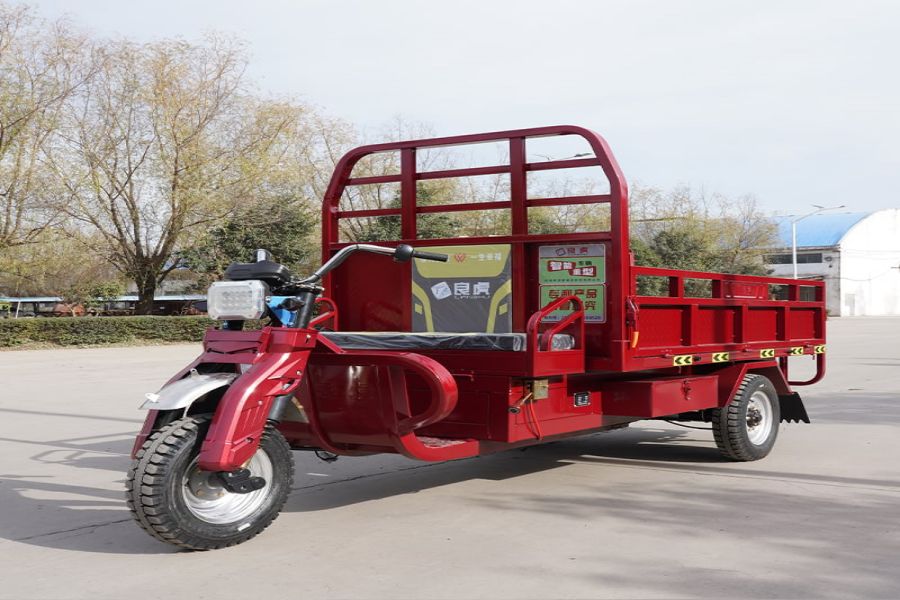 Exploring the World of Chinese Trike Motorcycles