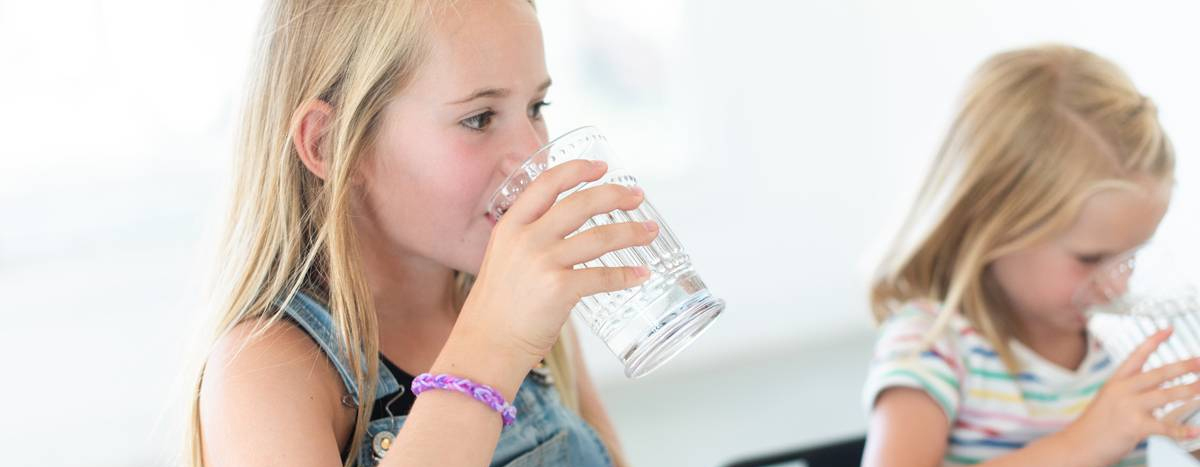 A pH water filter cartridge in reverse osmosis (RO) systems