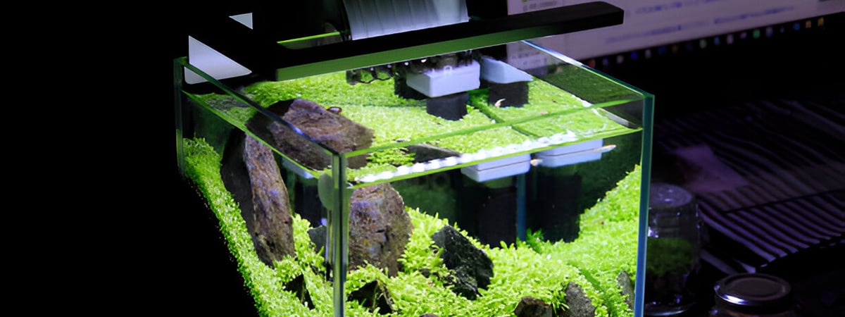 The Secret to Healthy Fish: Innovative Aquarium Filters