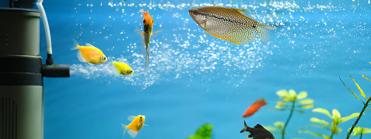 Cutting-Edge Features in Modern Aquarium Water Filters