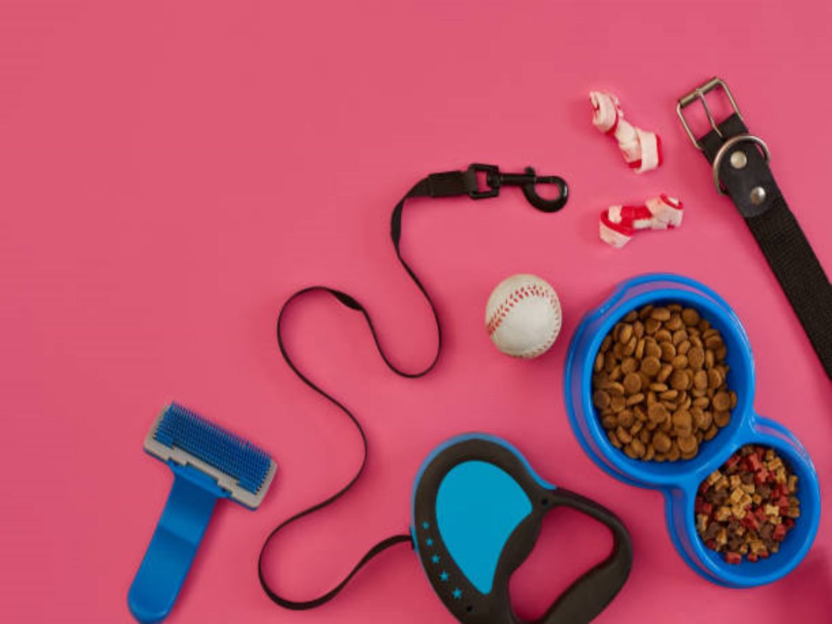 Customizable Silicone Pet Products: A New Trend in Pet Care