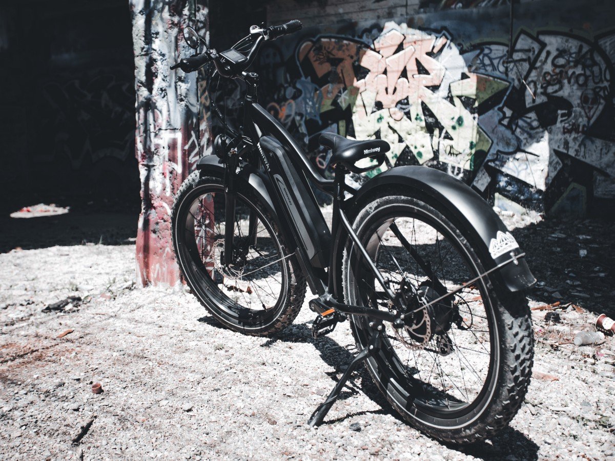 Unleash the Power: Exploring the Benefits of a 48V Ebike Battery