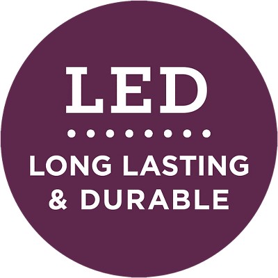 LED Bulb